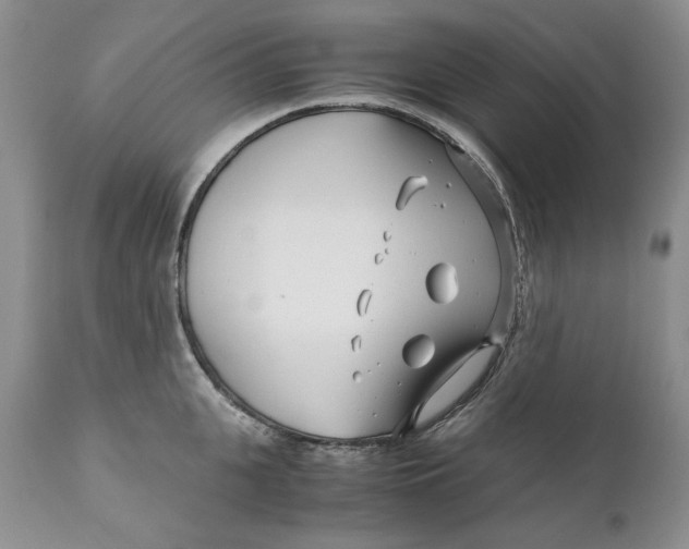 X0000110930951200907091517