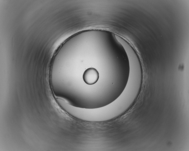 X0000110930952200907091517