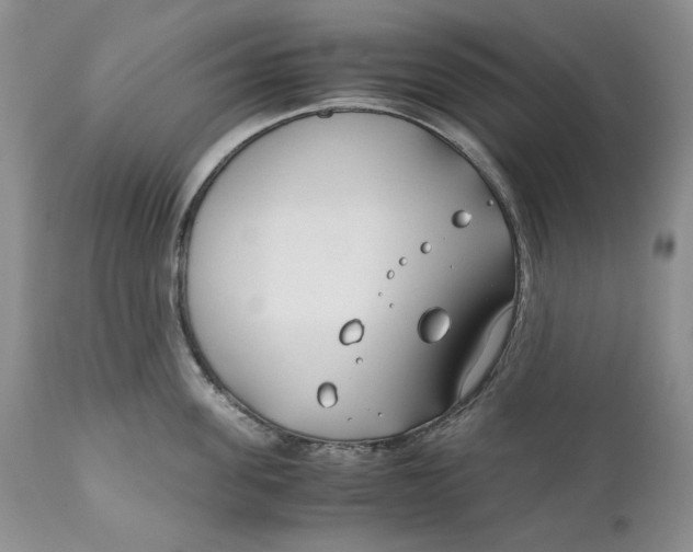 X0000110930955200907091517