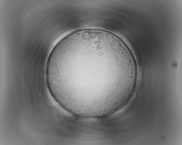 X0000110930957200907091517