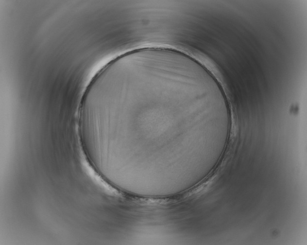 X0000110930958200907091517