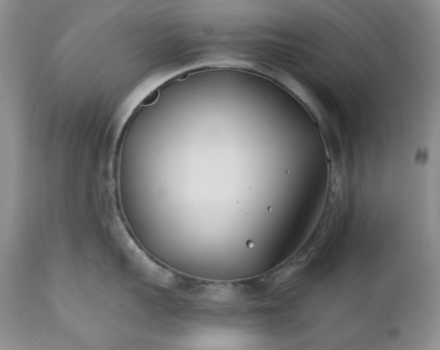 X0000110930959200907091517