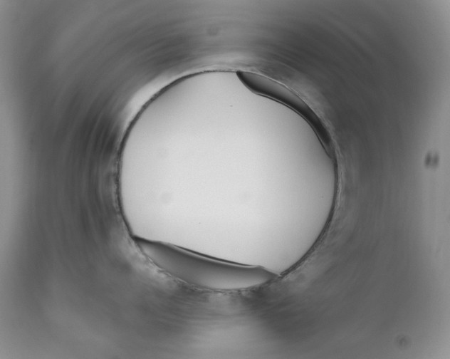 X0000110930960200907091517