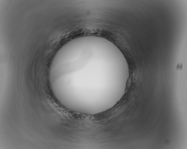 X0000110930961200907091517