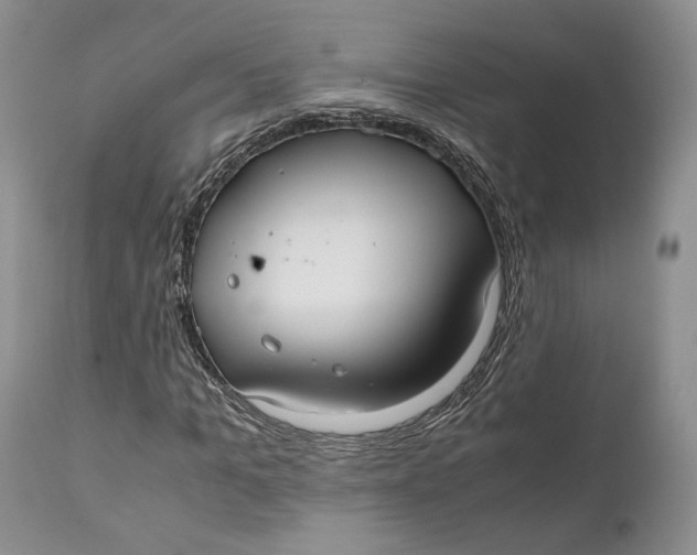 X0000110930965200907091517