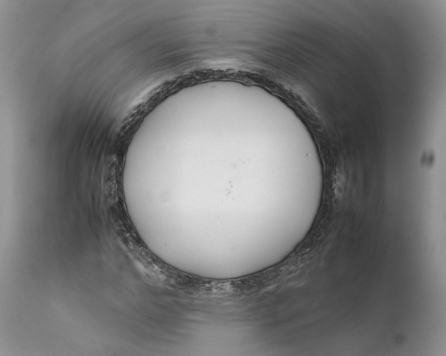 X0000110930968200907091516