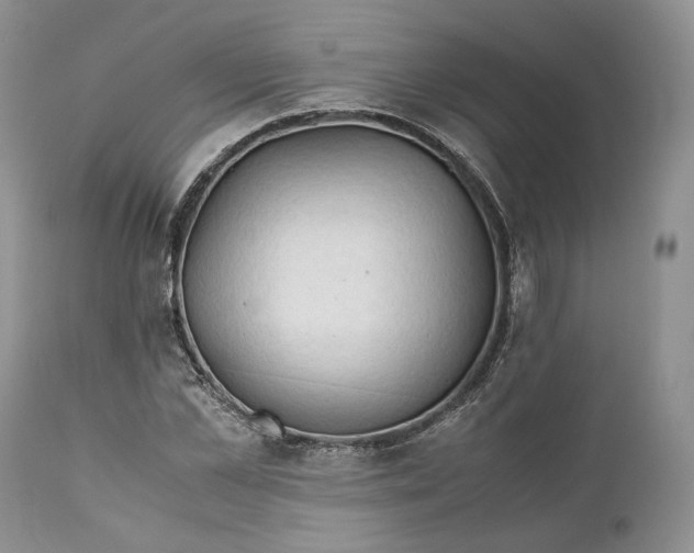 X0000110930973200907091516