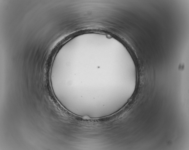 X0000110930975200907091516