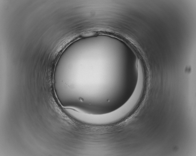 X0000110930977200907091516
