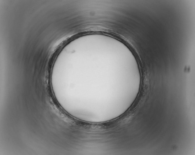 X0000110930979200907091516