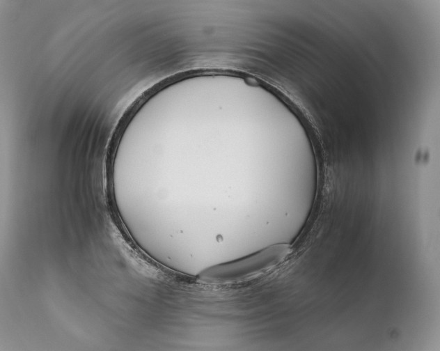 X0000110930980200907091516