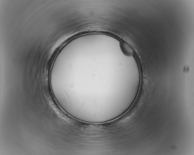 X0000110930981200907091516