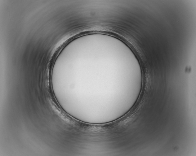 X0000110930982200907091516