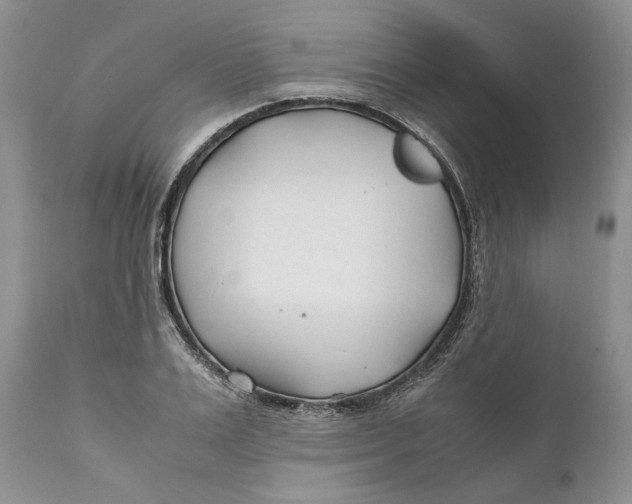 X0000110930983200907091516