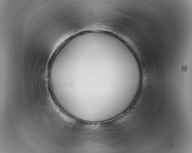 X0000110930990200907091516