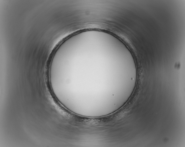 X0000110930991200907091516