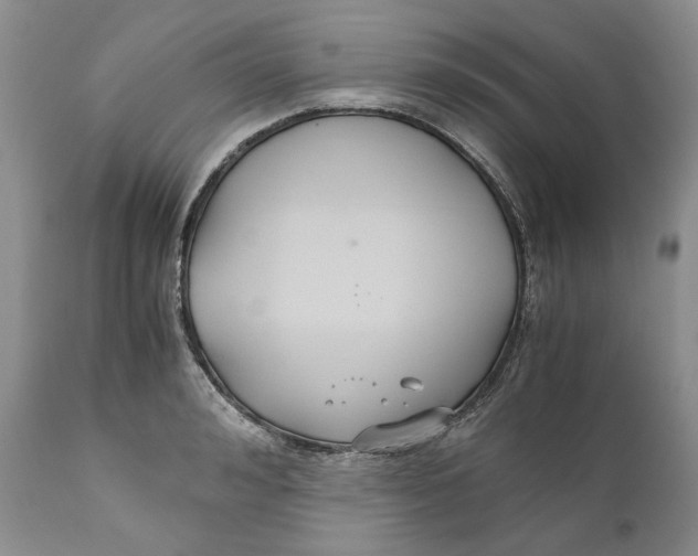 X0000110930992200907091516