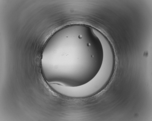 X0000110930993200907091516