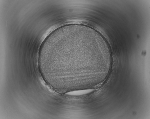 X0000110930994200907091516