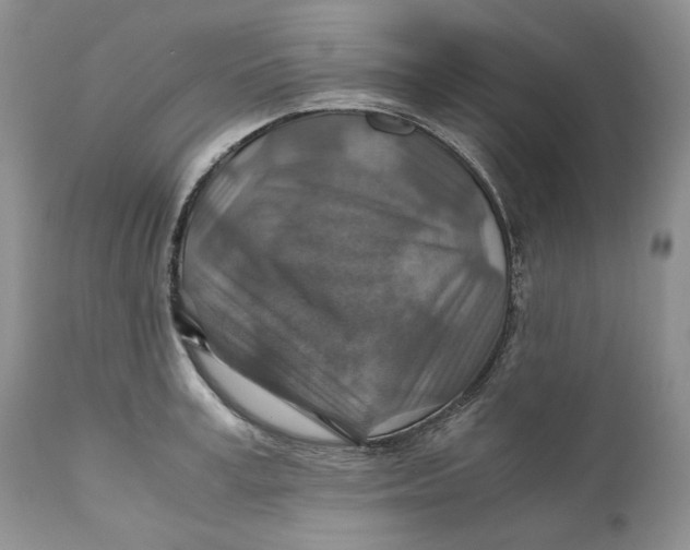 X0000110930995200907091516