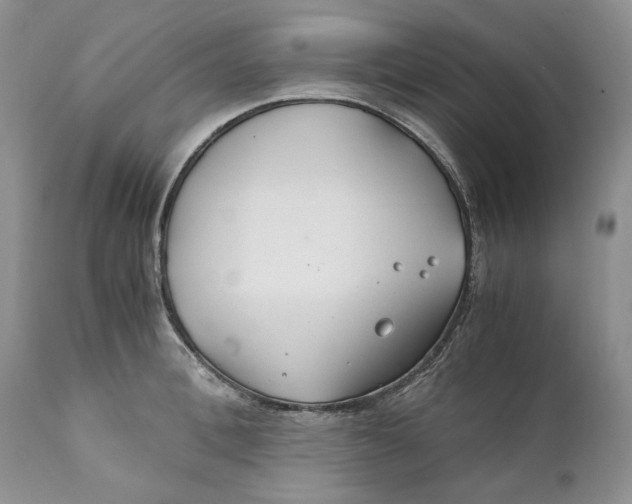 X0000110930996200907091516