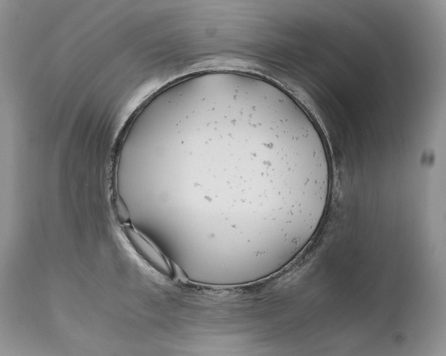 X0000110930997200907091516