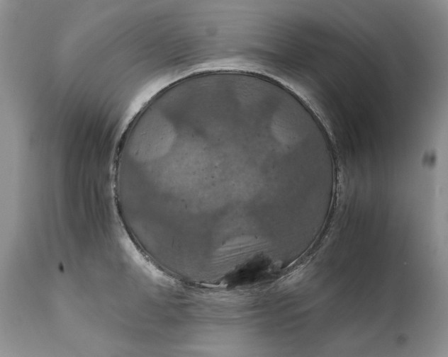 X0000110930998200907091516
