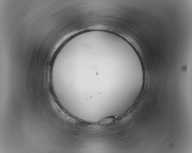 X0000110931000200907091516