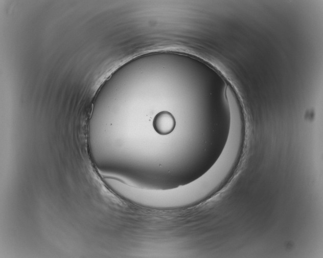 X0000110931001200907091516