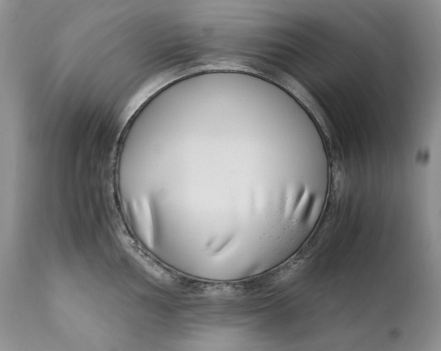X0000110931002200907091516