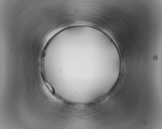 X0000110931003200907091516