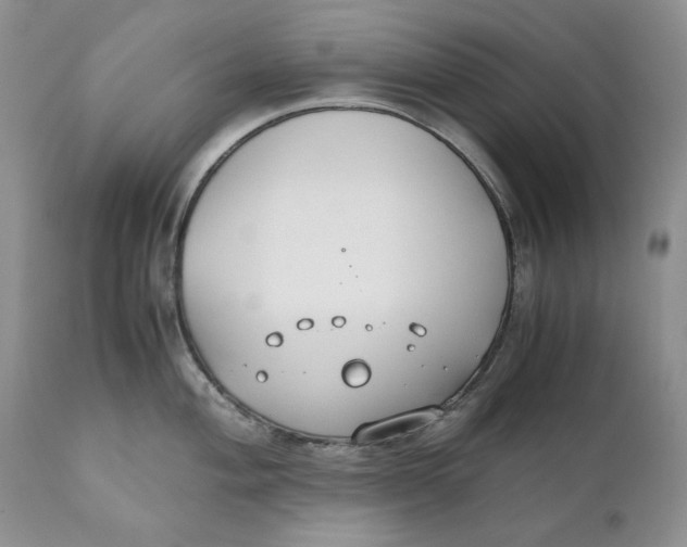 X0000110931004200907091516