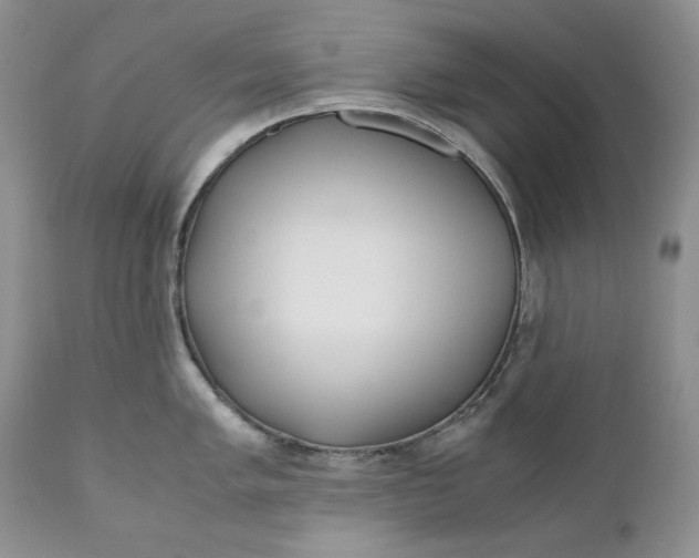 X0000110931005200907091516