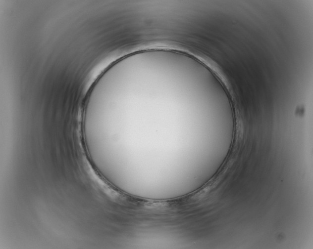 X0000110931006200907091516