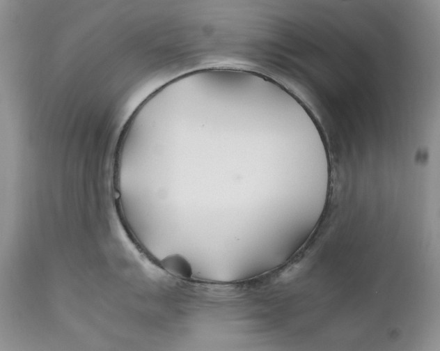 X0000110931007200907091516