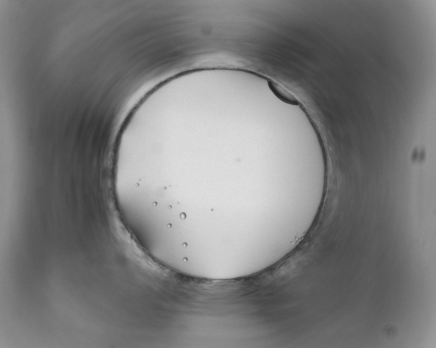 X0000110931008200907091516