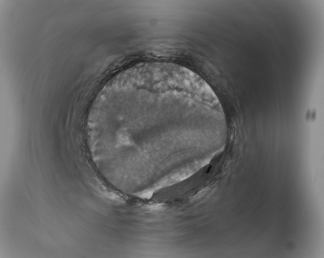X0000110931009200907091515