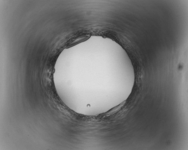 X0000110931010200907091515