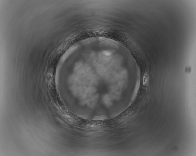 X0000110931011200907091515