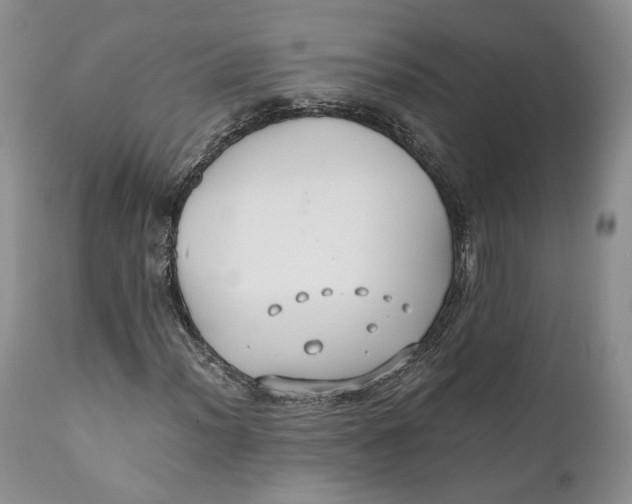 X0000110931012200907091515