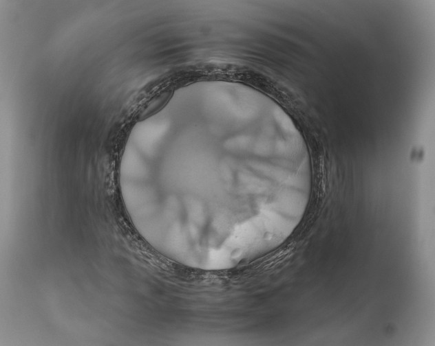 X0000110931013200907091515