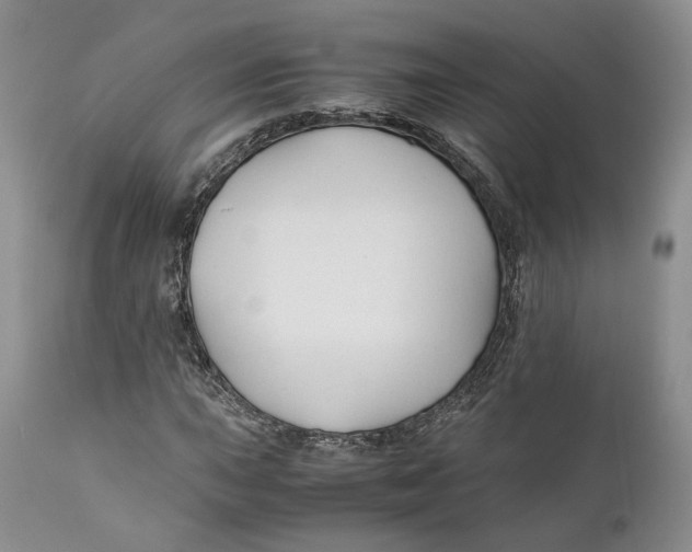 X0000110931015200907091515