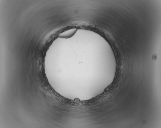 X0000110931016200907091515