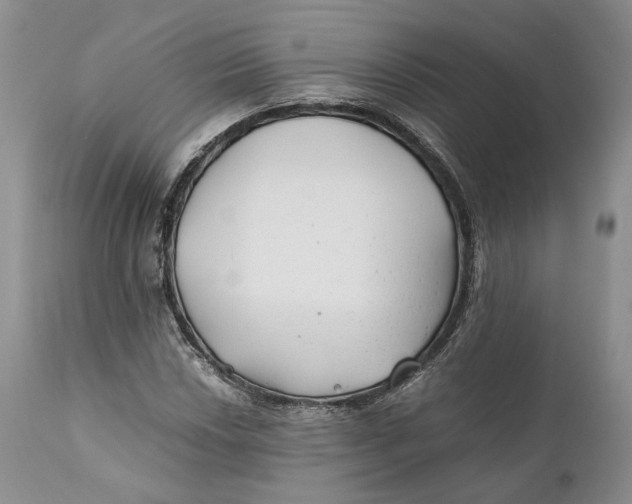 X0000110931018200907091515