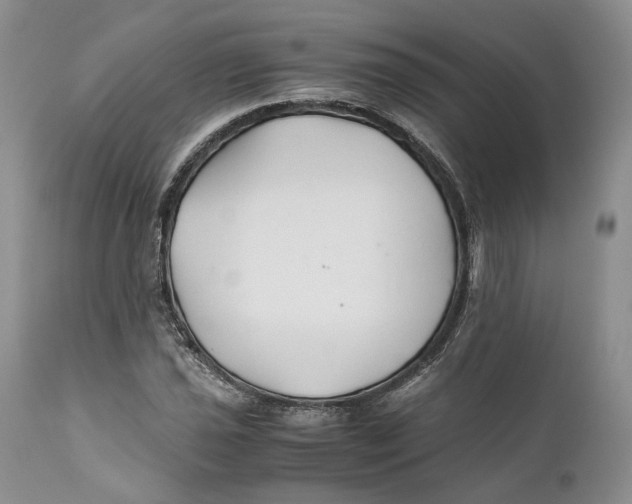 X0000110931021200907091515