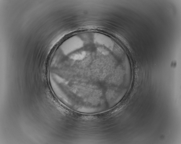 X0000110931023200907091515