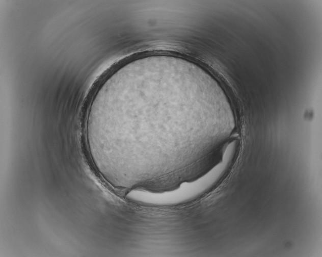 X0000110931024200907091515