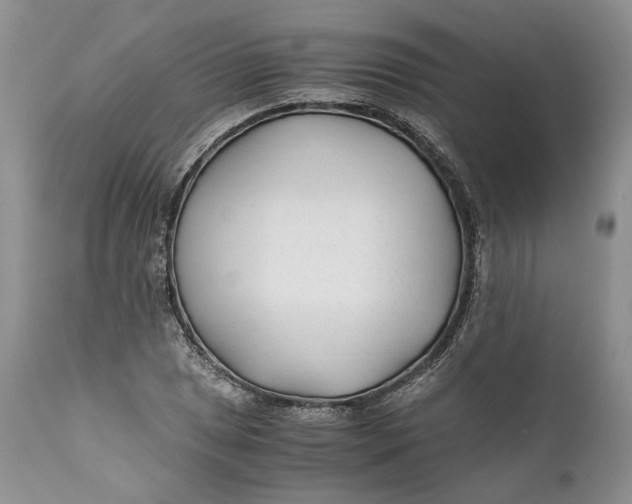 X0000110931025200907091515