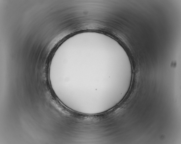 X0000110931026200907091515