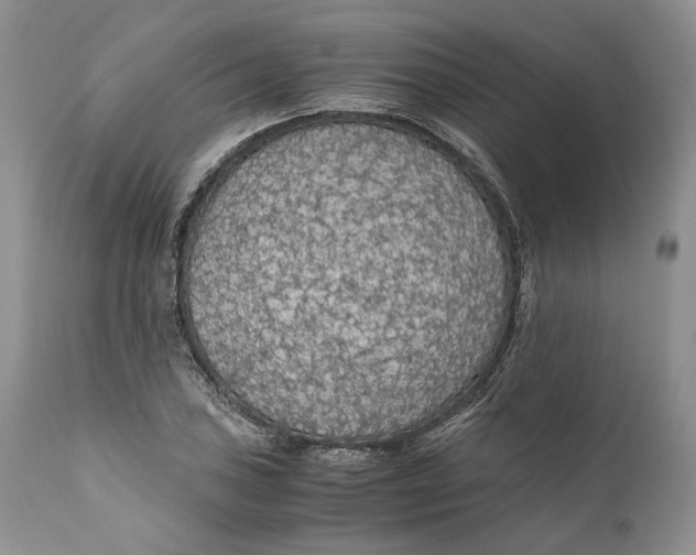 X0000110931027200907091516